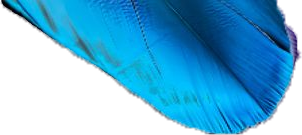 right leaf
